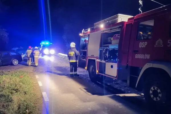 Nocna burza w Jagodniku: drzewa przewrócone na domy