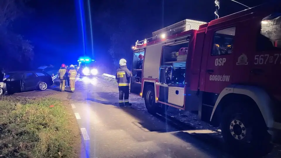 Nocna burza w Jagodniku: drzewa przewrócone na domy