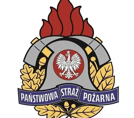 Młodzieżowe drużyny pożarnicze z powiatu świdnickiego nagrodzone w konkursie „Budujemy system odporności społecznej”