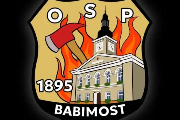 Alarm 47/2026: Owady błonkoskrzydłe na Placu Kopernika w Babimoście