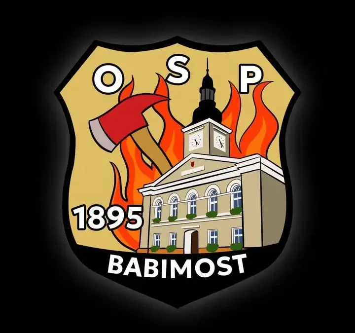 Alarm 47/2026: Owady błonkoskrzydłe na Placu Kopernika w Babimoście