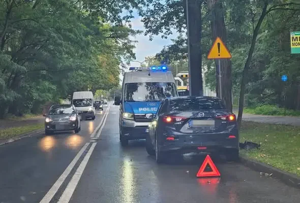Młody kierowca bez doświadczenia rozbił auto na ul. Botanicznej w Zielonej Górze