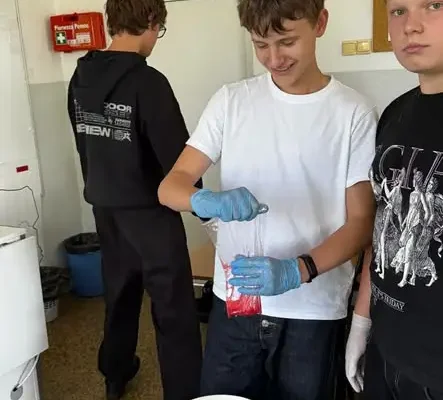 Uczniowie klasy 8 ze Szkoły Podstawowej w Nowogrodzie wyizolowali DNA z maliny