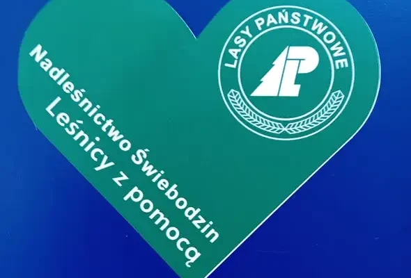 Nadleśnictwo Świebodzin wspiera młode talenty z Lecha Sulechów