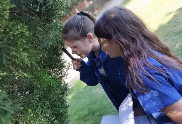Uczniowie klasy 4a zamienili salę lekcyjną na terenowy laboratorium przyrodnicze