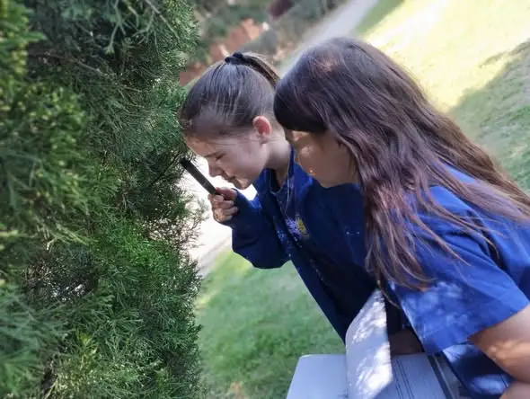 Uczniowie klasy 4a zamienili salę lekcyjną na terenowy laboratorium przyrodnicze